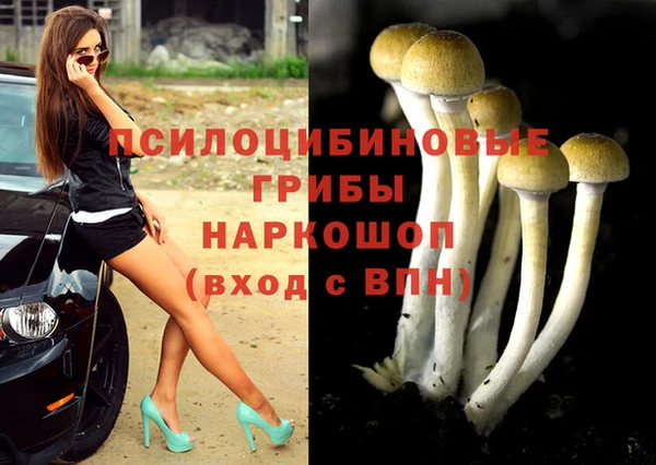 mdpv Арсеньев