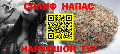 ешки Камышлов
