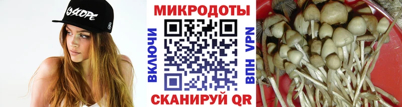 Галлюциногенные грибы ЛСД  закладка  Можга 