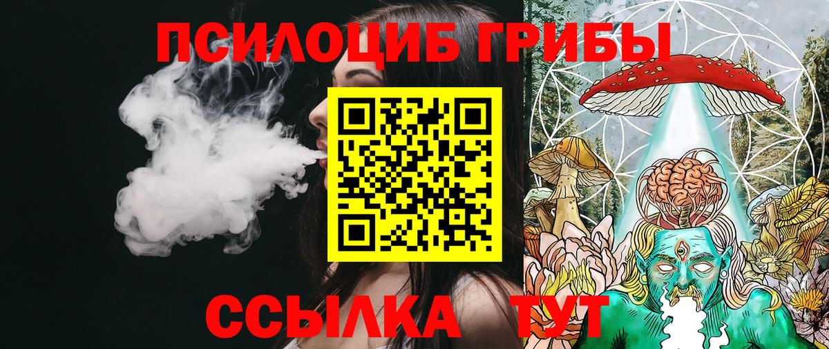 Можга  Галлюциногенные грибы мицелий  Галлюциногенные грибы Cubensis  Вход с VPN 